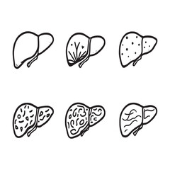 Simple liver organ sketch clean line art vector style