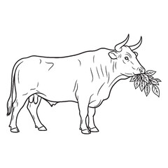 Find your next visual - with this Serene Ox Vector - featuring calm Ox Lineart ideal for backgrounds - a peaceful Ox Icon - inviting Vector Lineart of Ox for compositing.

