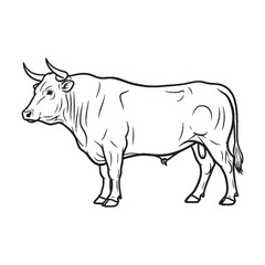 Fototapeta premium An Ideal Farm Ox Vector Asset - offering crisp Ox Lineart perfect for graphic design - a versatile Ox Icon - showcasing beautiful Vector Lineart of Ox.