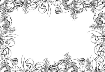 Milk-cap russula suillus larch bolete slippery jack mushrooms, snail on cap. Border frame hand drawn in vector ink. Horsetail plant on bark with moss lichen growth, autumn forest woodland habitat