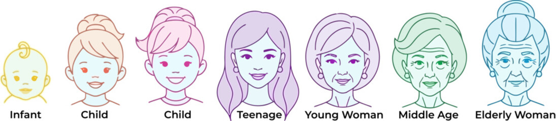 Woman life cycle stages illustration from infant to elderly, female aging process faces timeline vector