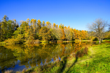 Landscape at the Gerolstein reservoir in autumn. Idyllic nature at the lake in the Eifel region.
