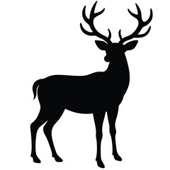 Obraz premium Silhouette of a majestic stag with large antlers deer