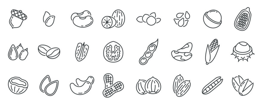  nuts seeds peanuts icons quality agriculture product hazelnut cocoa coconut almond pistachio pea vecter
