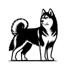 Lively Husky Dog Vector Artwork – Husky Dog 18