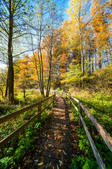 Naklejka premium Landscape around the Gerolstein reservoir in autumn. Idyllic nature at the lake in the Eifel region. 