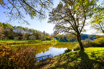 Landscape at the Gerolstein reservoir in autumn. Idyllic nature at the lake in the Eifel region.
