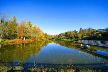 Landscape at the Gerolstein reservoir in autumn. Idyllic nature at the lake in the Eifel region.
