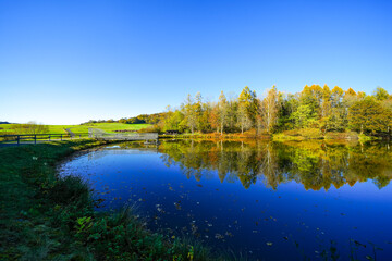 Landscape at the Gerolstein reservoir in autumn. Idyllic nature at the lake in the Eifel region.
