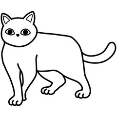 Hand drawn cat cartoon illustration outline 