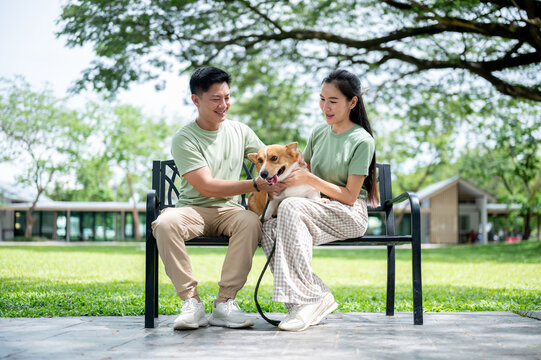 Asian man and woman holding patting corgi puppy taking a rest after walking sitting on park's bench.