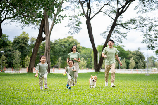 Dad holding a leash on corgi puppy while walking running along mom son and daughter on grass in park - Powered by Adobe