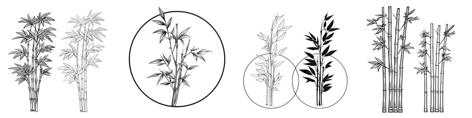 Obraz premium Modern icon of bamboo plant available in both outline and solid styles