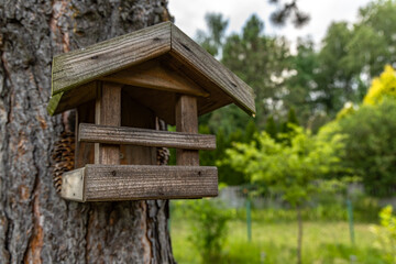 Wooden bird feeder hanging from an tree in an orchard