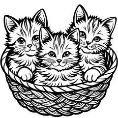 Obraz premium Three adorable fluffy kittens nestled together in a woven basket