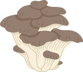 ヒラタケのアイコン