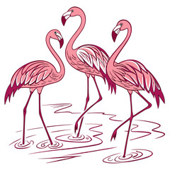 Naklejka premium Pink flamingos stand gracefully in water, their elegant necks and vibrant feathers creating a beautiful tropical illustration of these wild birds