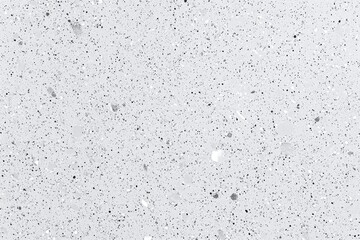 Obraz premium Light Gray Terrazzo Texture with Speckled Black and White Inclusions Pattern