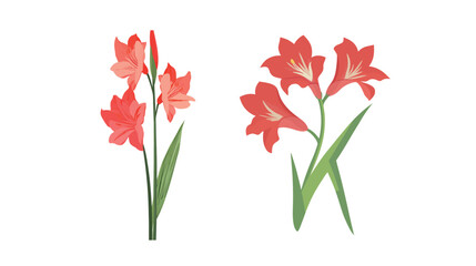 Gladiolus Flower Vector Icon on White – Elegant Botanical Line Art