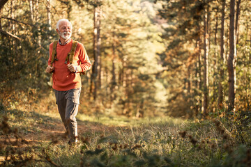 Obraz premium Senior Man Hiking Through Forest Trail on Sunny Autumn Day