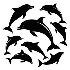 Silhouettes of playful dolphins leaping and swimming in the ocean