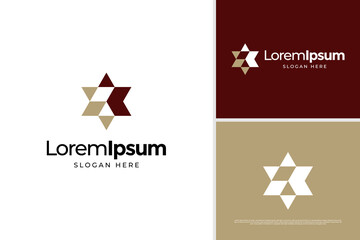 Luxury star logo vector design template