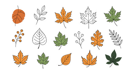 Obraz premium Collection of hand drawn autumn leaves and twigs with berries for seasonal decoration