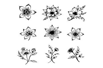set of black and white flowers