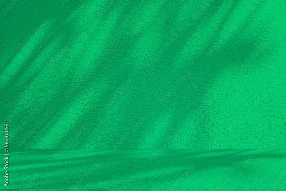 Poster Wall interior background, studio and backdrops show products. with leaf shadow from window color green and white. background for text insertion and presentation of product	
