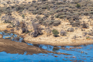 Paysage de la Namibie