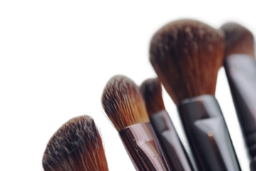 Professional beauty tool kit including powder and blush brushes.