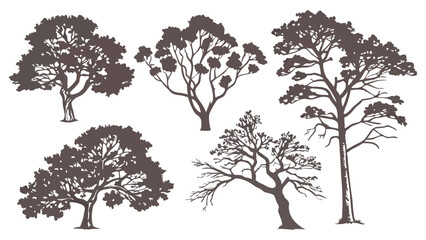 Vector art of a collection of detailed tree silhouettes, including oak and pine trees, isolated on transparent background