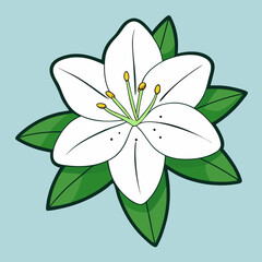 white flower on green background