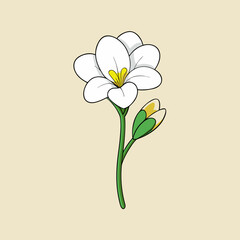 Naklejka premium vector illustration of a white flower