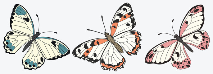 Elegant vintage-style butterfly vector set with soft tones, a cute and colorful butterfly vector.