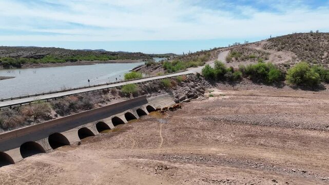 Aerial view of a concrete culvert with cows, United States.