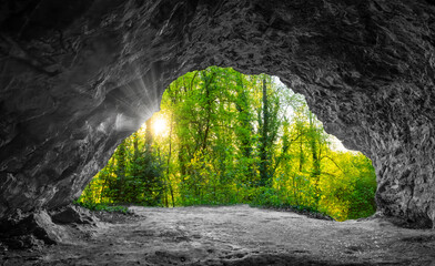 View of the lush green vegetation of the forest from a small limestone cave in the Sauerland. A...