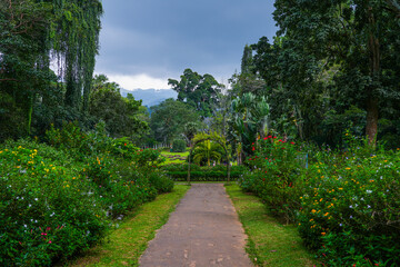 Scenic landscape of Peradeniya Royal Botanical Garden in Kandy, Sri Lanka	