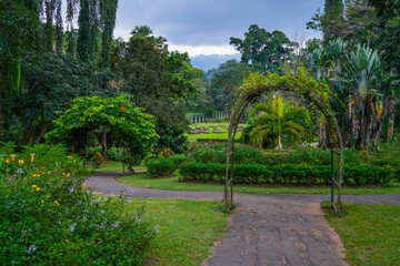 Peradeniya Royal Botanical Garden in Kandy, Sri Lanka