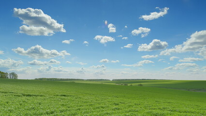 A Beautiful and Scenic Landscape Featuring Lush Green Fields Beneath a Clear Blue Sky