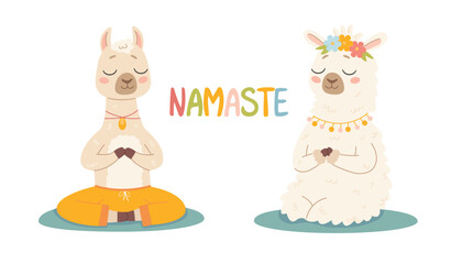 Cute lama in a yoga pose on a white background. Cute children's style. Cute relaxed llama in meditation pose. Alpaca. Vector illustration in cartoon style.