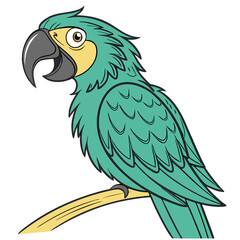 Colorful Parrot Bird Isolated on White Background Vector Illustration