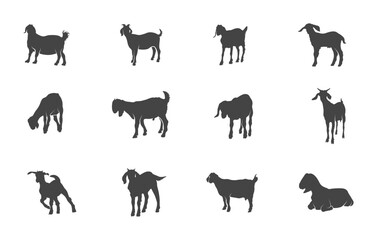 Boer goat svg, Boer goat silhouette, Boer goat vector, Boer goat clipart, Boer goat drawing, Goat svg, Goat silhouette, Goat vectors. 