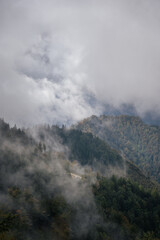 Thick fog rolling over forested mountain ridge in early morning light
