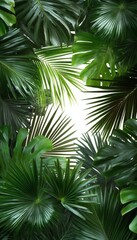 Lush Tropical Canopy Bathed in Radiant Sunlight with Vibrant Green Foliage and Exotic Flora