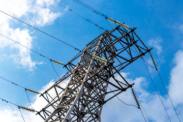 Many birds sit on the power pole with blue sky.