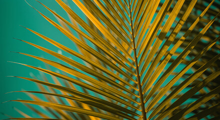 Obraz premium Decorative palm leaves on vibrant green isolated background