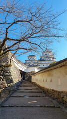 Stone pathway winds up through ancient fortifications towards the main keep of the magnificent Himeji Castle. Low-angle view in Himeji, Japan, is framed by a bare winter tree against a clear blue sky