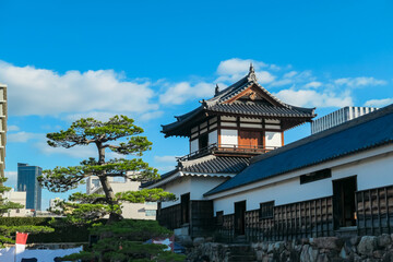 Majestic pine tree frames a traditional turret of Hiroshima Castle, creating a stunning contrast with the modern city skyline of Hiroshima, Japan, all set against a vibrant blue sky on a clear day