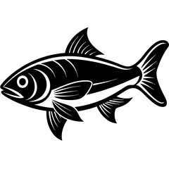 Obraz premium fish on a white background